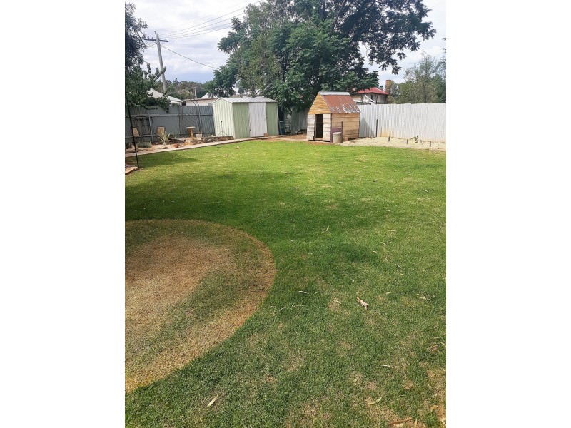 31 Curtin Street, Griffith NSW 2680