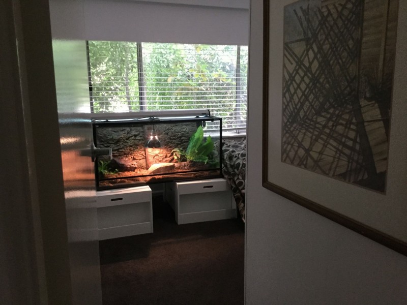 275 Dalton Street, Orange NSW 2800