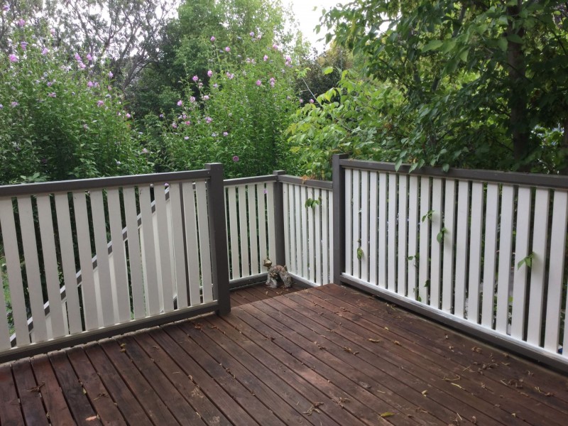 275 Dalton Street, Orange NSW 2800