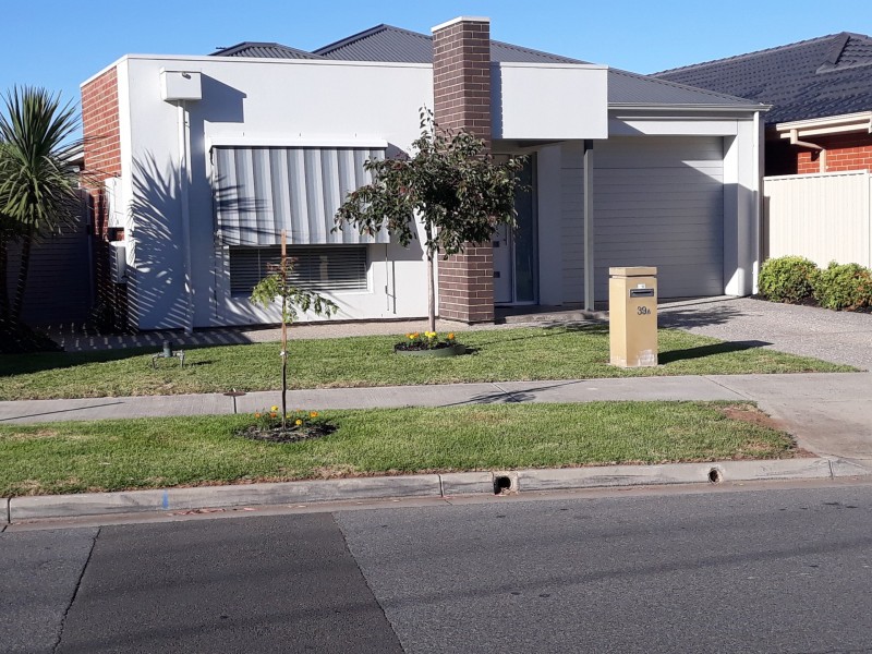 39A Kidman Ave, Kidman Park SA 5025