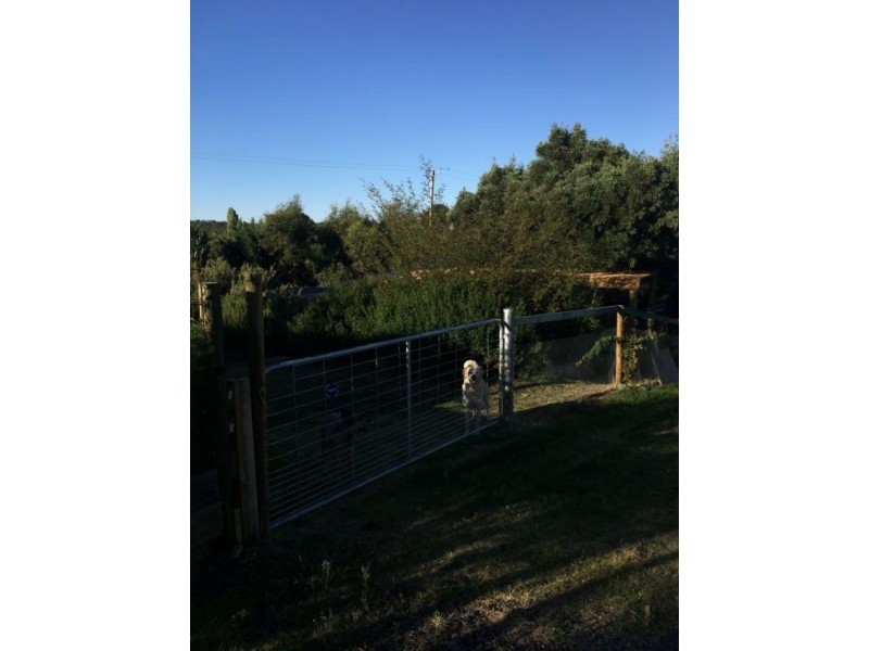 47 John Street, Uralla NSW 2358