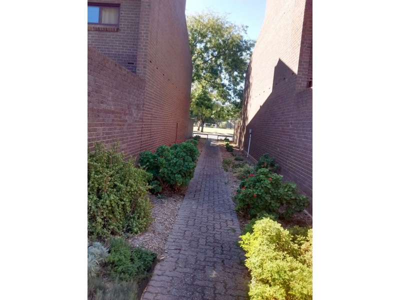 17 Barton Place, North Adelaide SA 5006