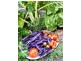 119 Warwick Street, West Hobart TAS 7000