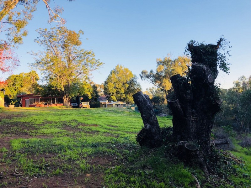 14 Marriott Road, Boya WA 6056