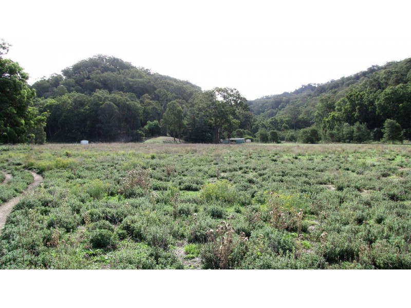 Totnes Valley NSW 2850