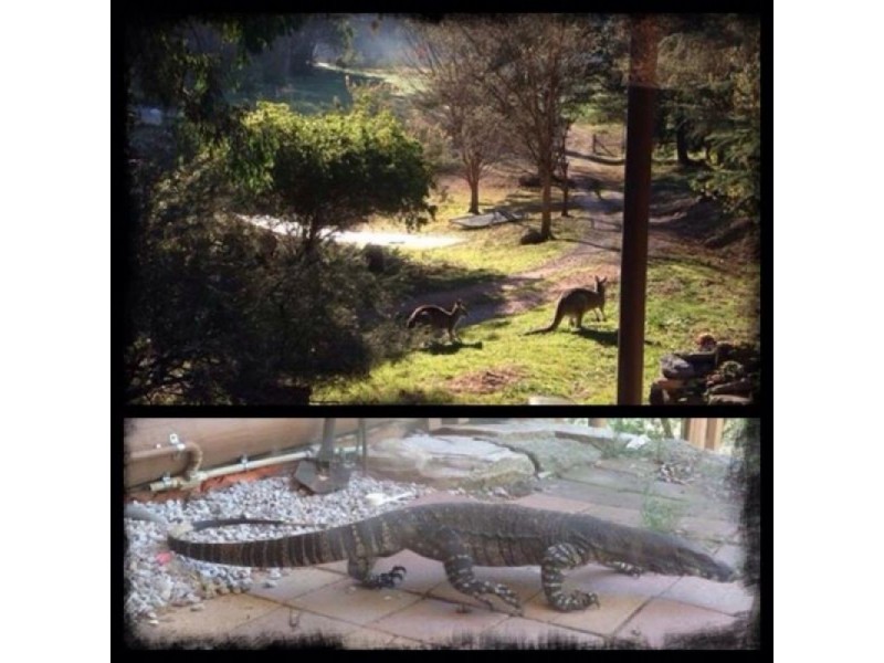 Totnes Valley NSW 2850