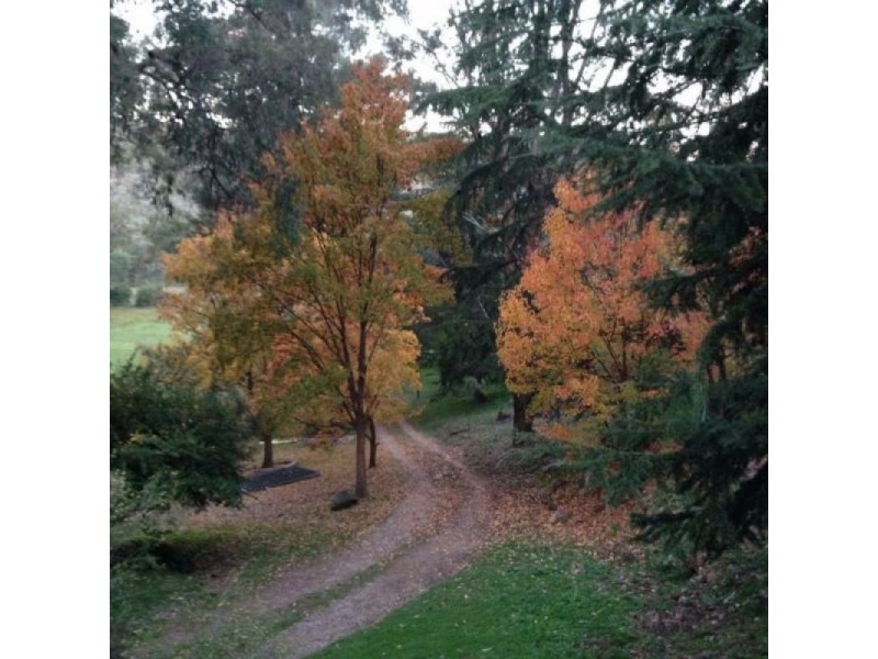 Totnes Valley NSW 2850