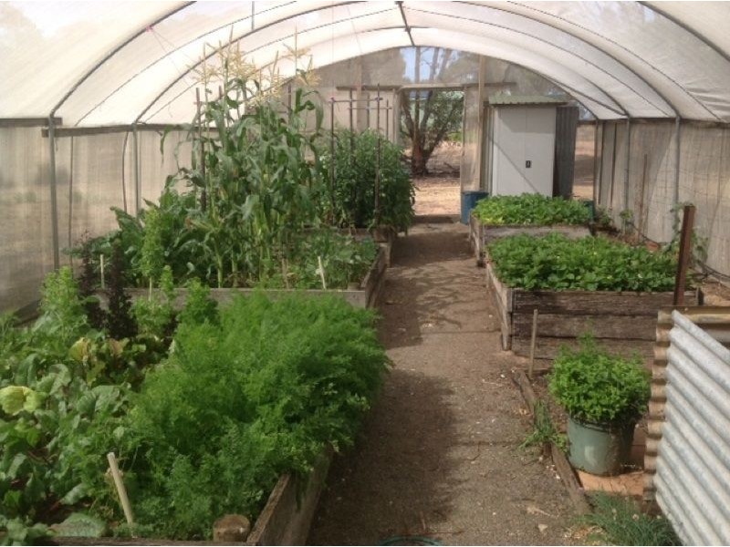 79 Lambert Road, Port Hughes SA 5558