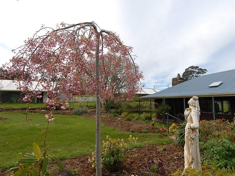 Lower Longley TAS 7109