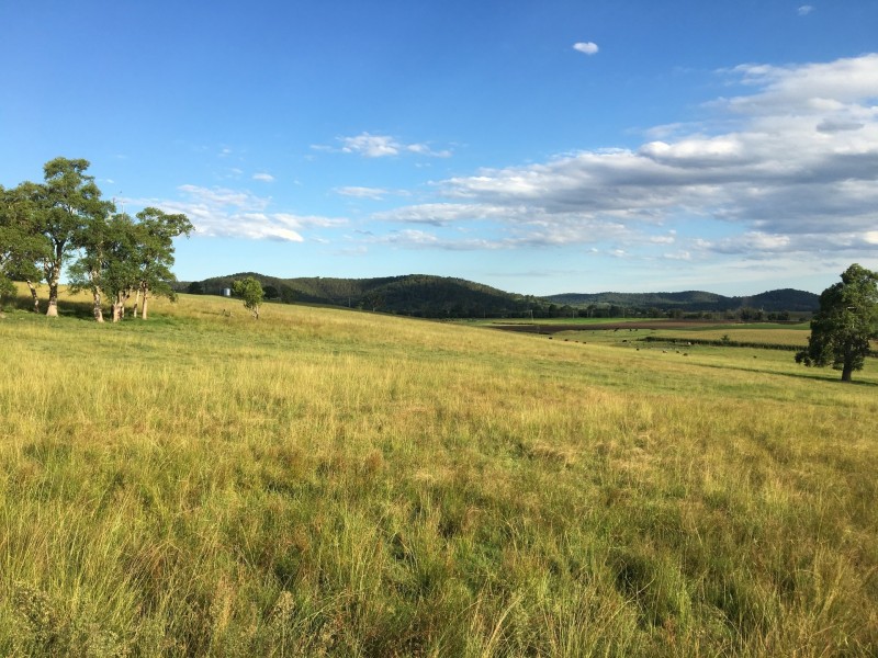 lot 1 DP 651307 jacksons Flat rd, Jacksons Flat NSW 2469