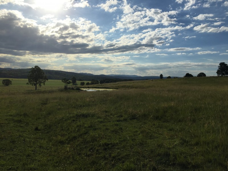 lot 1 DP 651307 jacksons Flat rd, Jacksons Flat NSW 2469