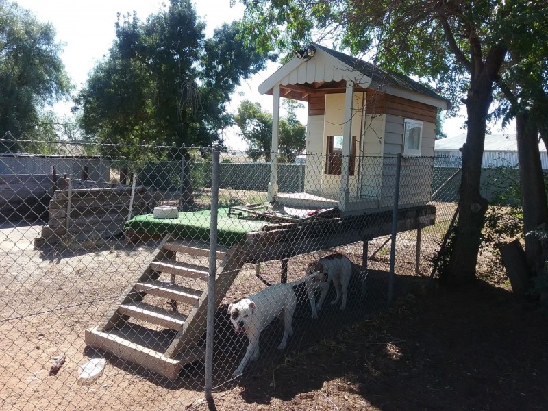 9 Frances lane, Mitiamo VIC 3573