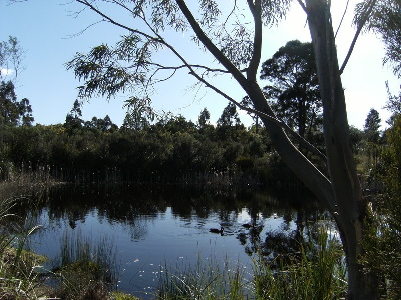 69 Macnaghten Road, Dover TAS 7117