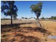 Lot 6 Hospital Road, Nyngan NSW 2825