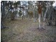 Lot 231 Wollun Road, Walcha NSW 2354