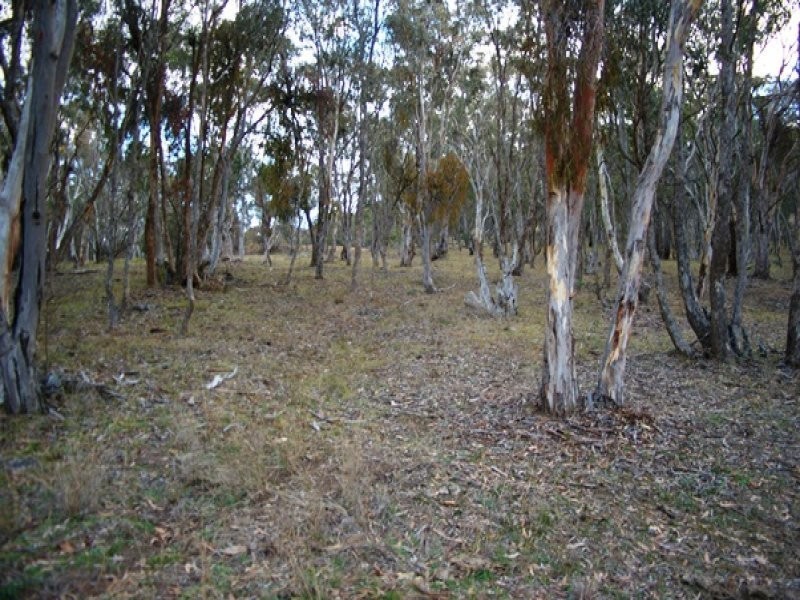 Lot 231 Wollun Road, Walcha NSW 2354