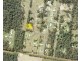 Lot 10 Morelia Way, Woombah NSW 2469