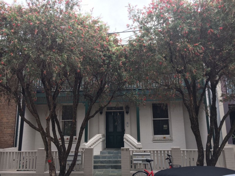 5/87 Lawrence Street, Alexandria NSW 2015