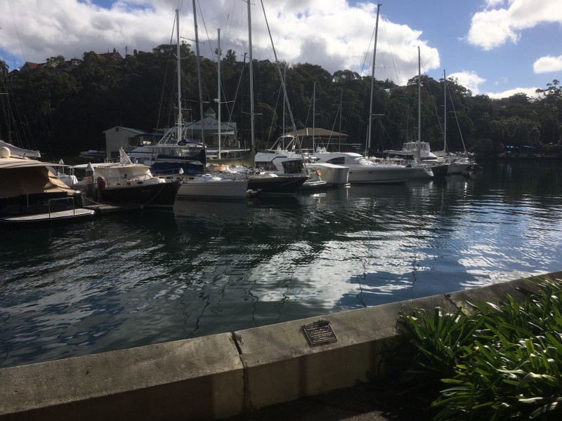 1/14 Avenue Rd, Mosman NSW 2088