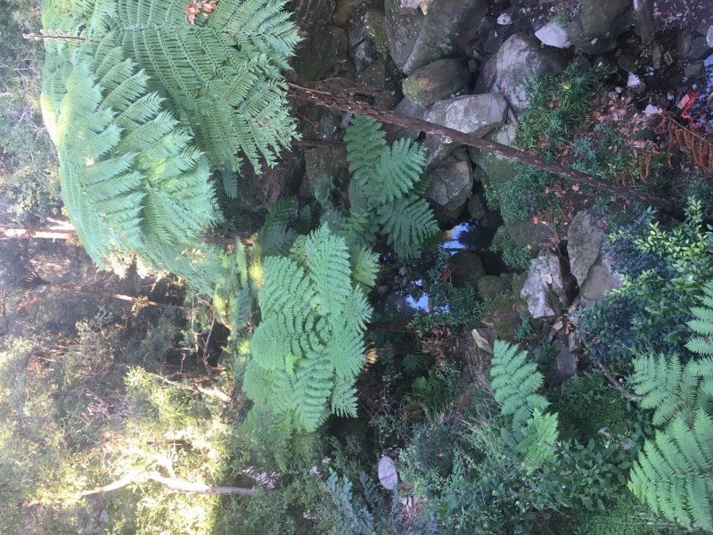 1/14 Avenue Rd, Mosman NSW 2088