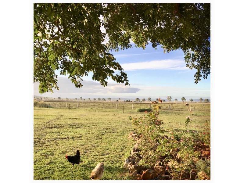 22 William Street, Clifton QLD 4361