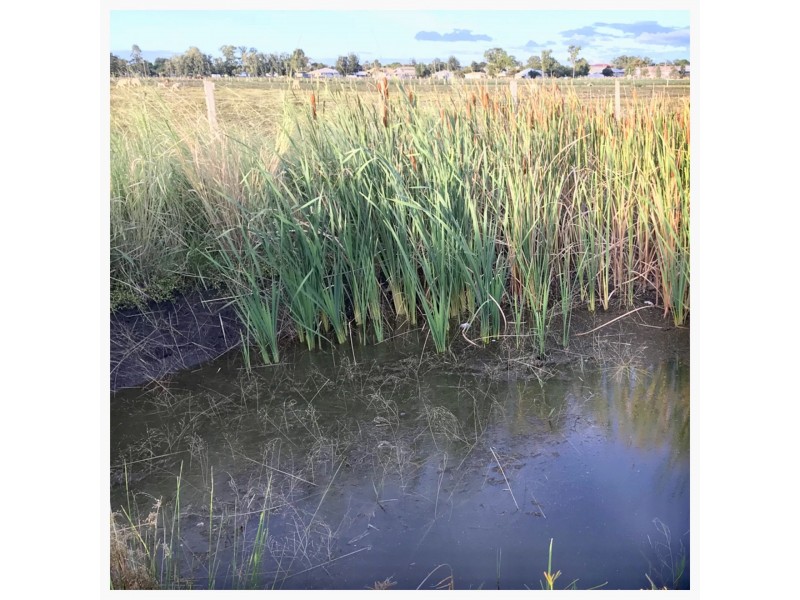 22 William Street, Clifton QLD 4361