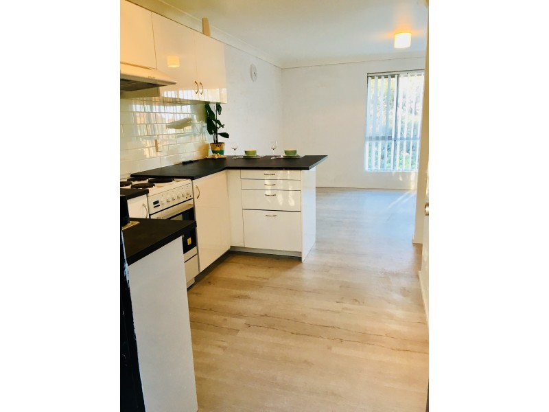 12 Melinda Grove, Lake Heights NSW 2502