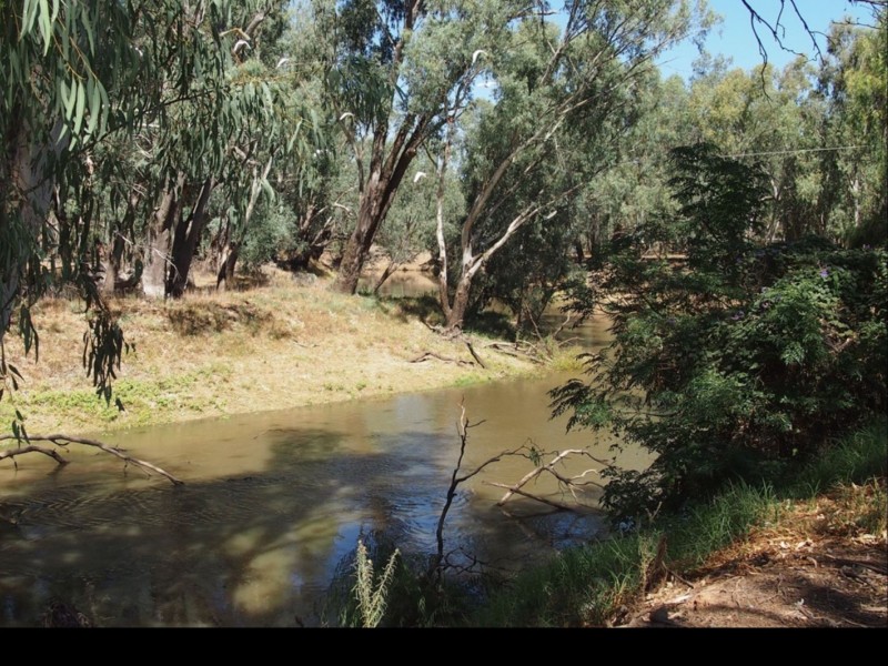 38 Lachlan Street, Euabalong NSW 2877