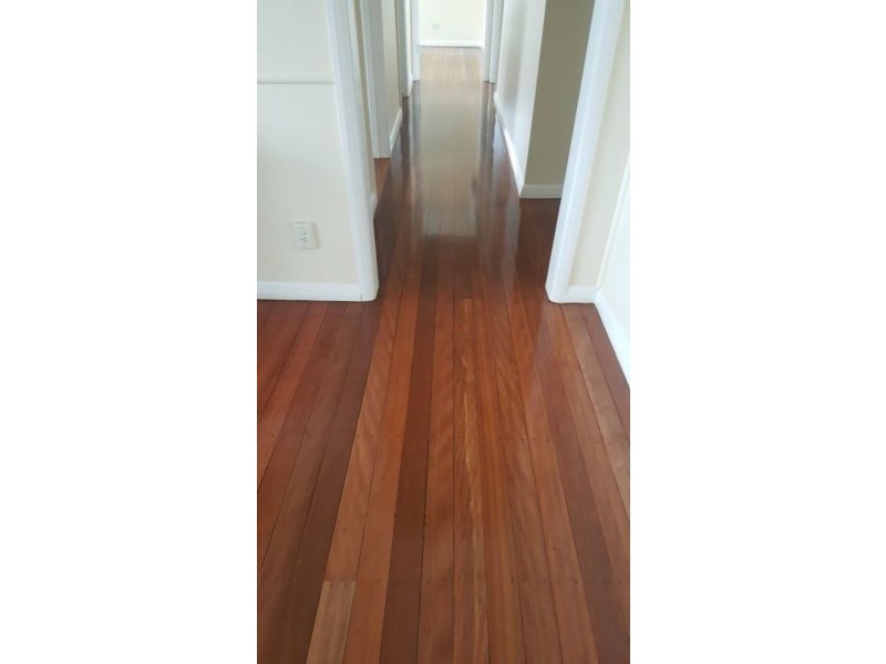 81 Woodhill Ave, Coorparoo QLD 4151