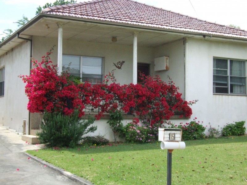 15 Tenterfield Street, North Strathfield NSW 2137