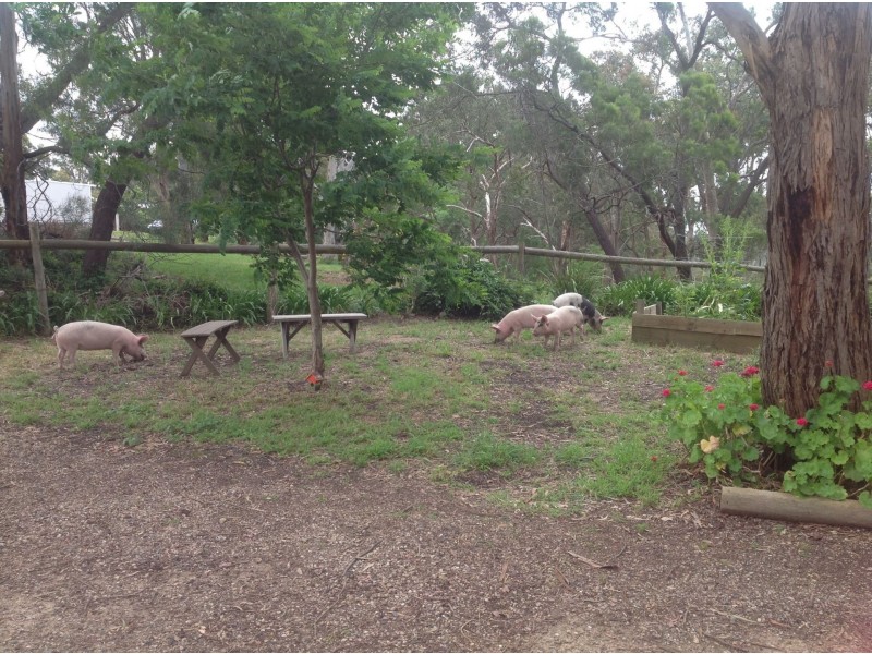 48 Beauty Gully Road, Warrandyte VIC 3113