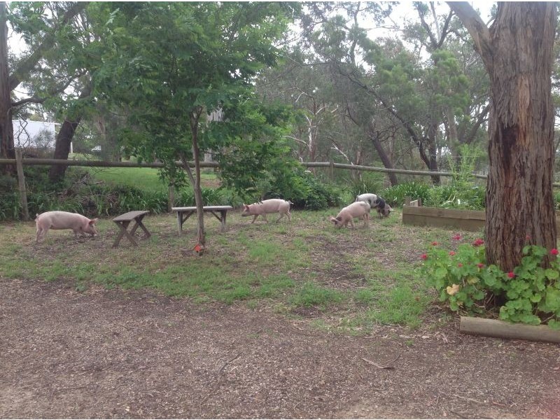 48 Beauty Gully Road, Warrandyte VIC 3113