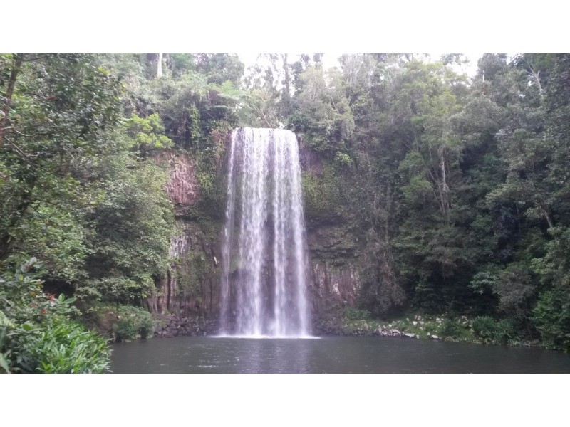 65 Holland St, Wongaling Beach QLD 4852