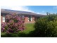 91 Francistown Rd, Dover TAS 7117