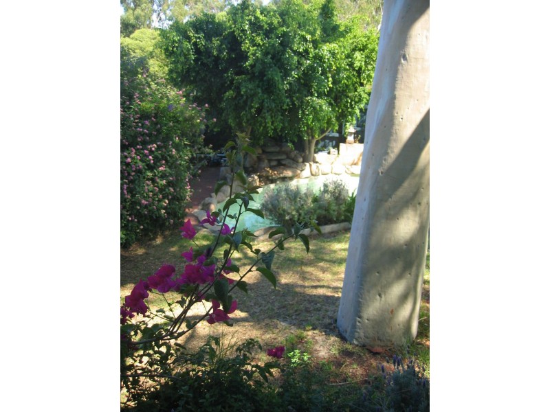 25 Longson Street, Hamilton Hill WA 6163