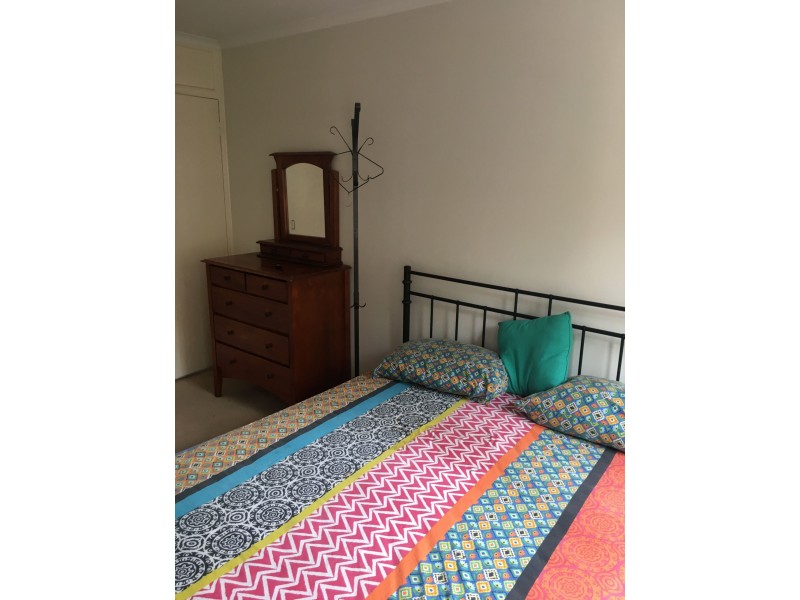 3/113 Sir Fred Schonell Drive, St Lucia QLD 4067