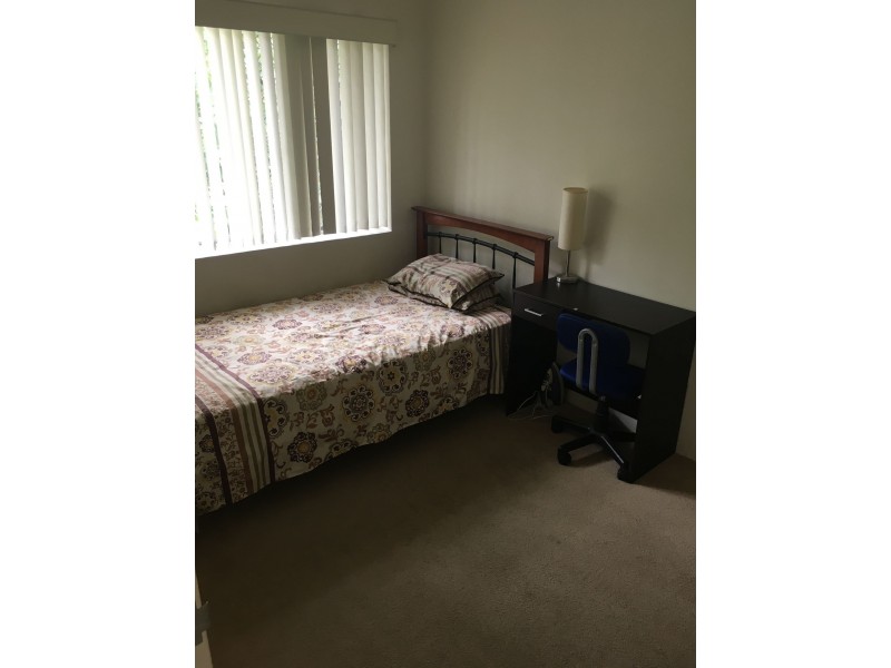 3/113 Sir Fred Schonell Drive, St Lucia QLD 4067