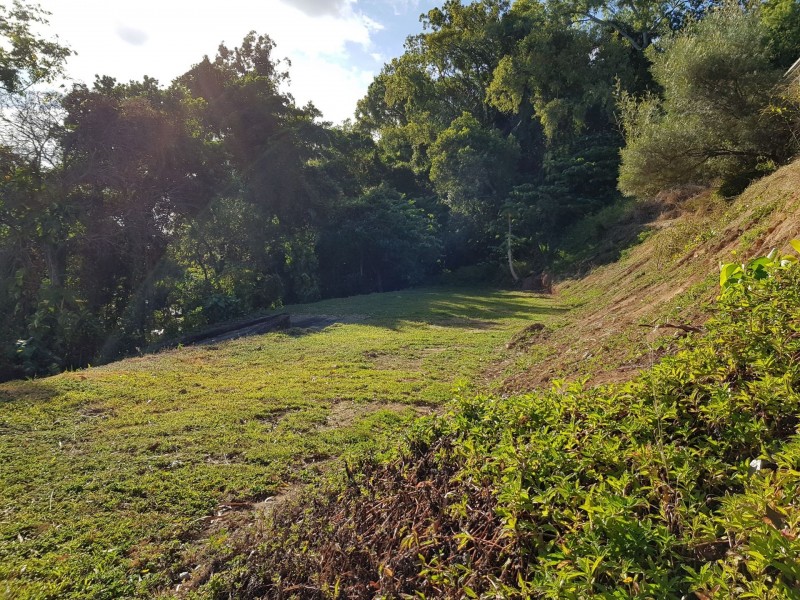 15 Dalgety Street, Stratford QLD 4870