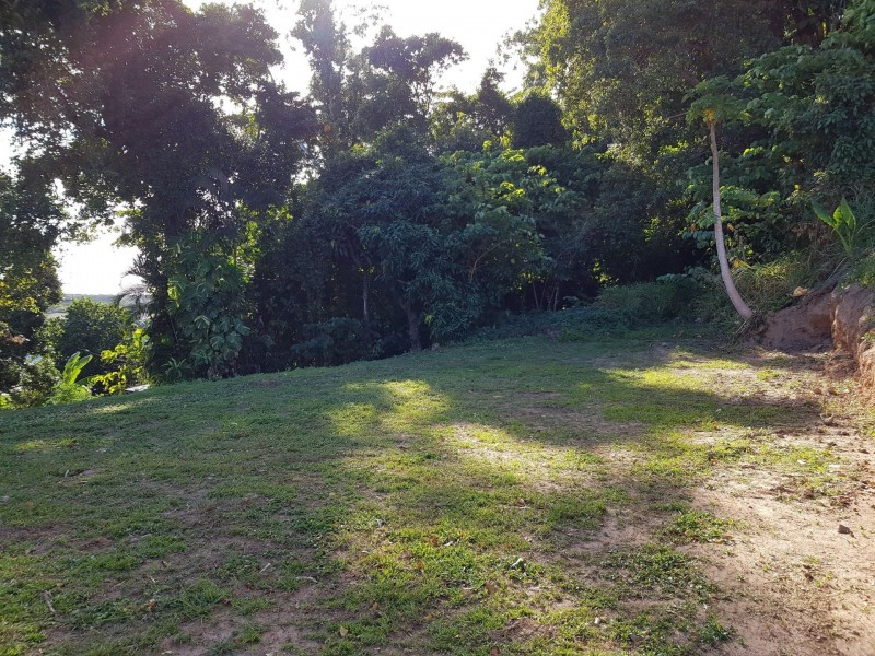 15 Dalgety Street, Stratford QLD 4870