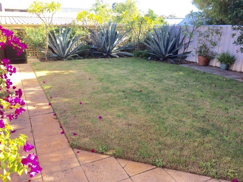 55B Blencowe St, West Leederville WA 6007