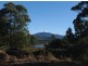 Lot 2, 69 Macnaghtens Road, Dover TAS 7117