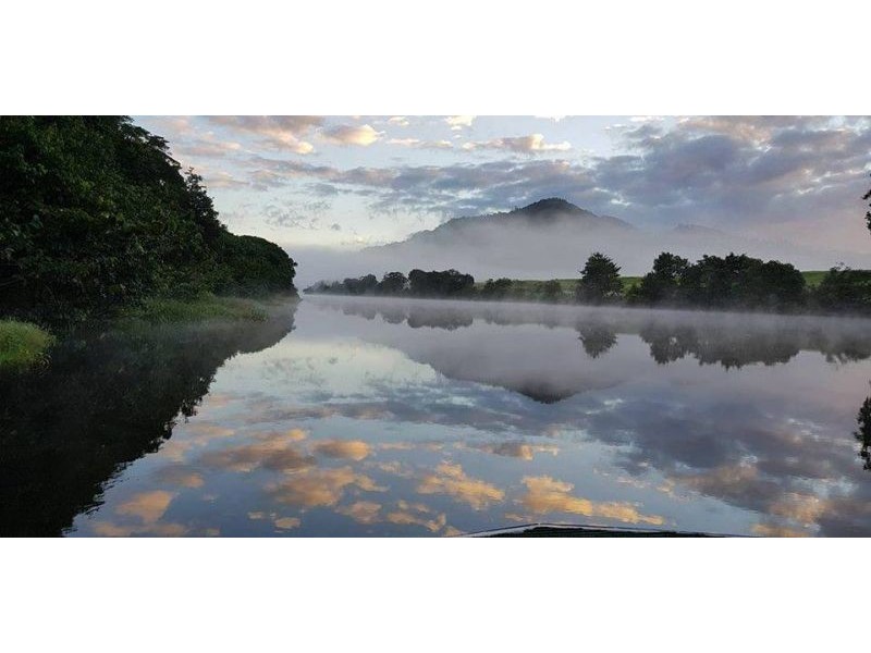 17 Stewart Street, Daintree QLD 4873