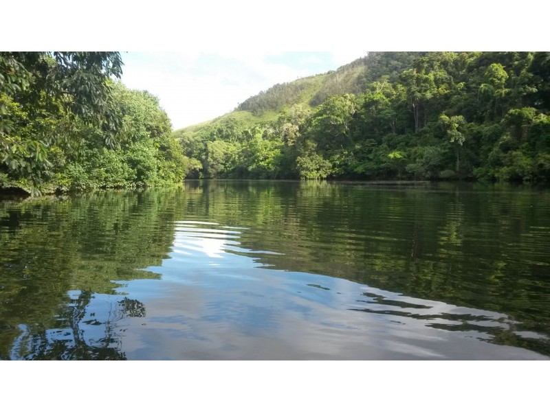 17 Stewart Street, Daintree QLD 4873