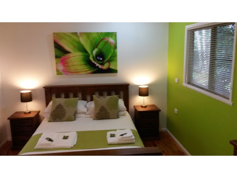 17 Stewart Street, Daintree QLD 4873