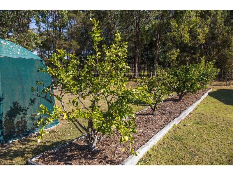 16 Blue Wren Close, Gulmarrad NSW 2463