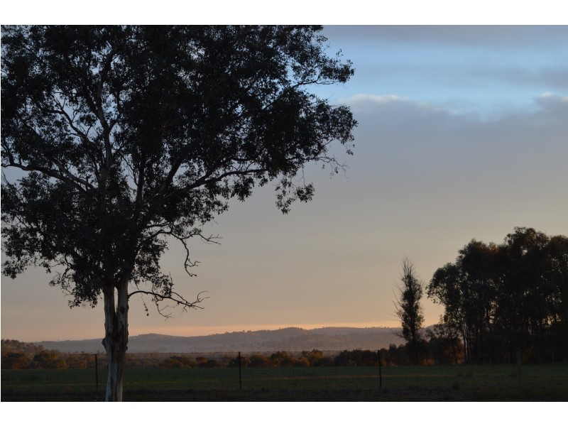 46 Allonby Ave, Forest Hill NSW 2651
