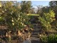 34 Lawler Rd, Michelago NSW 2620