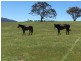 34 Lawler Rd, Michelago NSW 2620