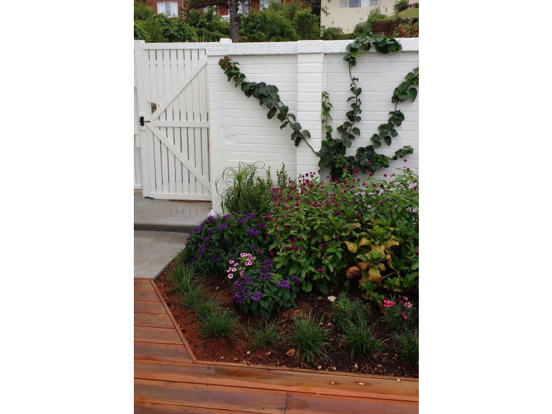 Castle Cove NSW 2069