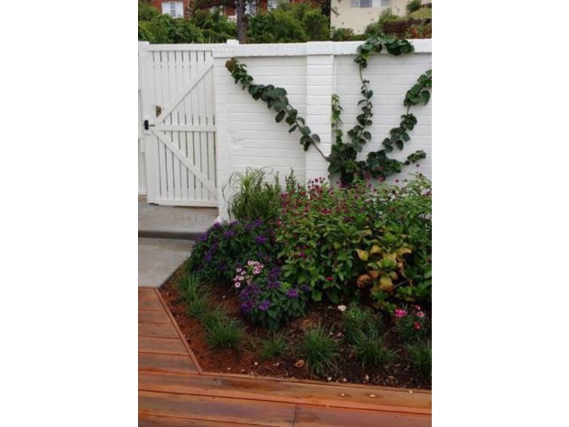 Castle Cove NSW 2069